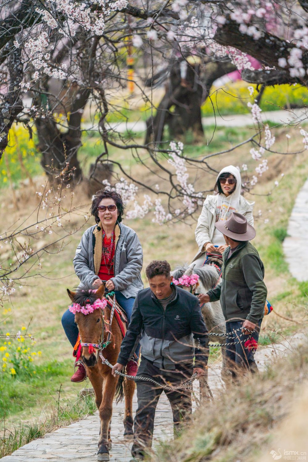 ο֥иwR^DƬԴ A