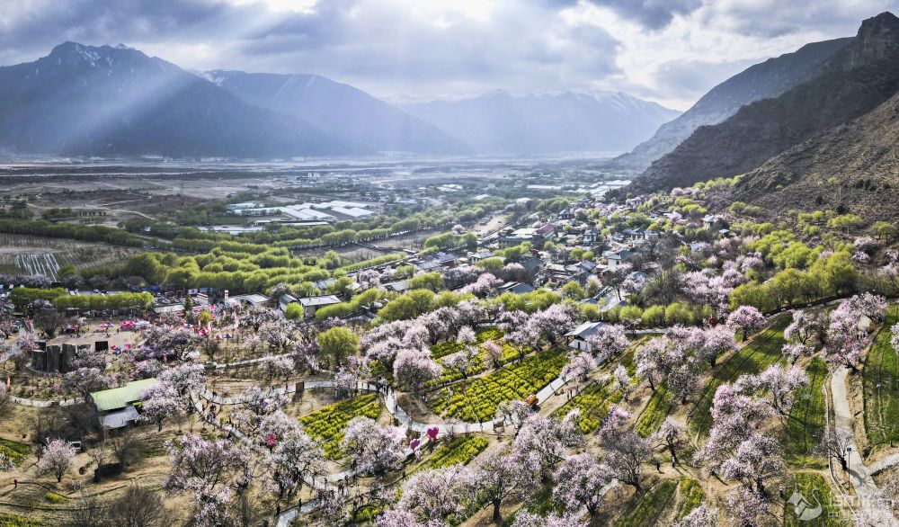 һo˙CƬoع·Qءһһ塱DƬԴ A