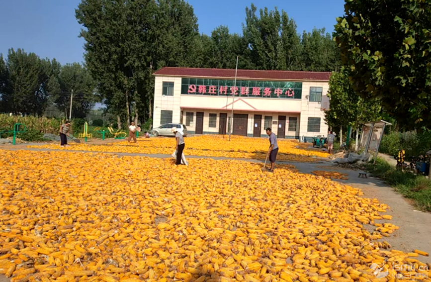 l(xing)зhl(xing)nfȺĻVZ_Ɣz